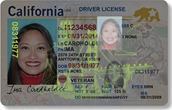 Image of REAL ID Driver License shown under ultraviolet light.