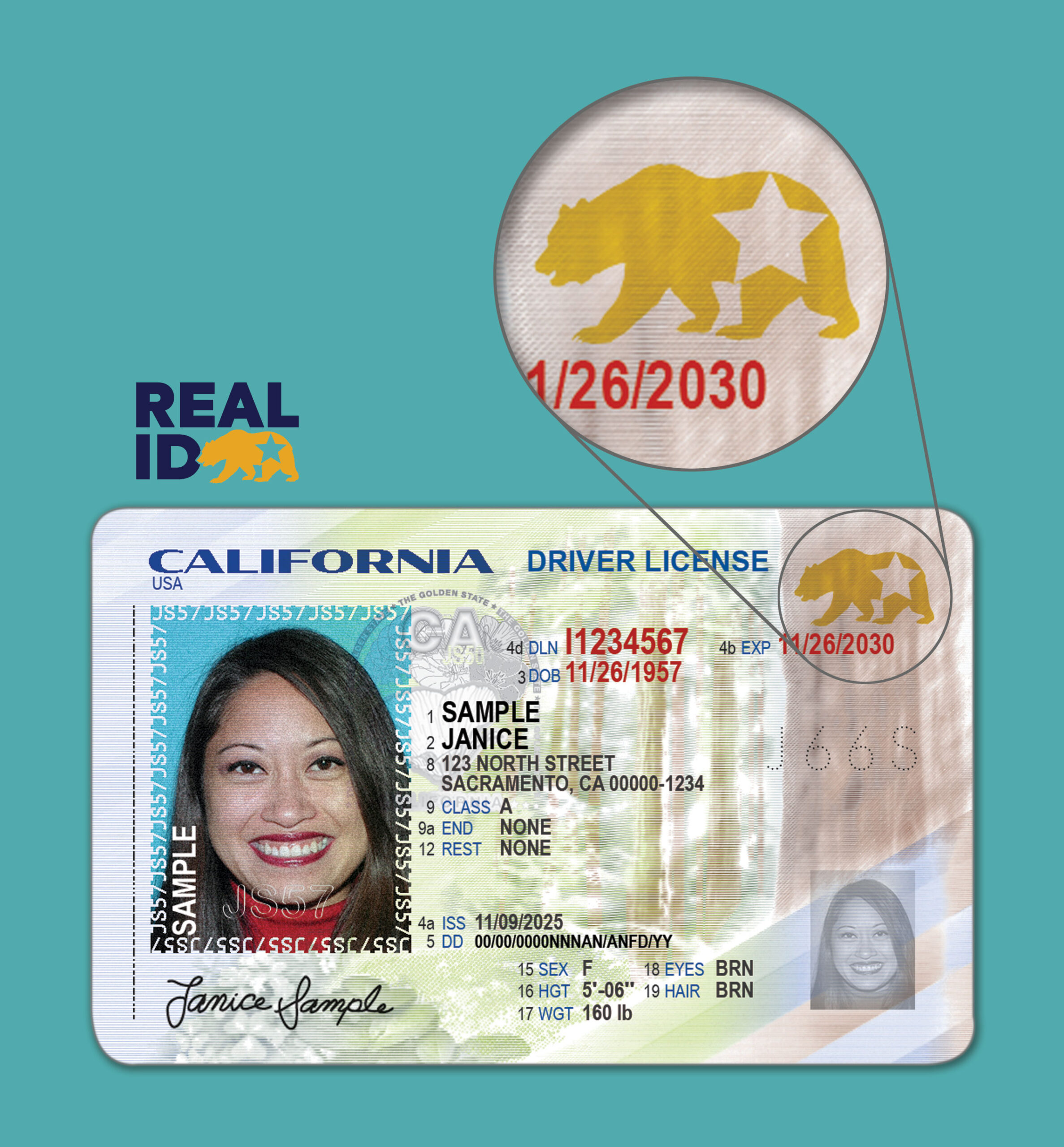 Graphic displaying a REAL ID. A bear with a star in the top right corner indicates a REAL ID
