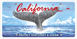 Whale Tail (California Coastal Commission) special interest license plate.