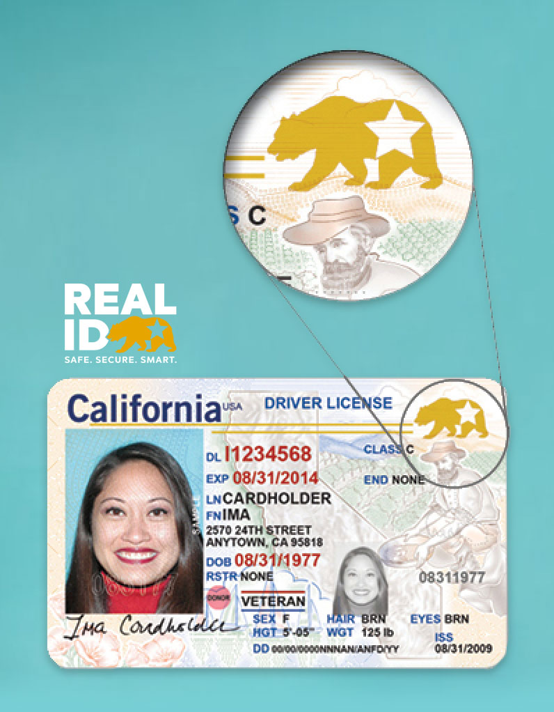 Graphic displaying a REAL ID. A bear with a star in the top right corner indicates a REAL ID